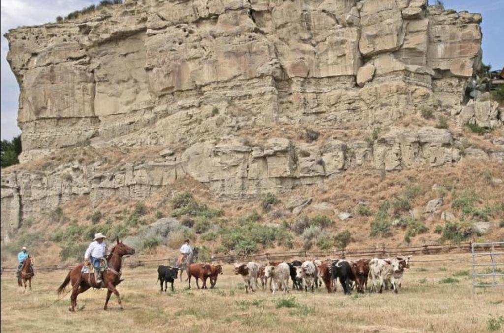 Montana Inn Near Little Big Horn Battlefield-Pompey Piller-Colstrip Forsyth 外观 照片